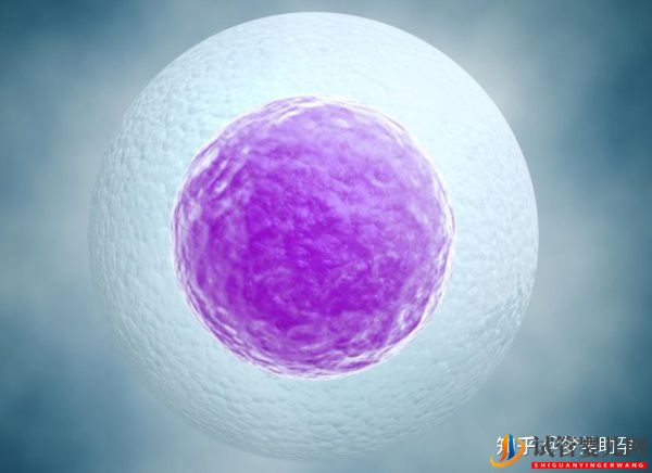 大齡女性去美國試管嬰兒成功率高嗎(圖6)