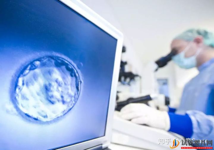 為什么她們更愿意去美國做試管嬰兒(圖5)