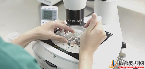 在泰國和國內(nèi)做試管嬰兒,費用上有哪些差異(圖1)