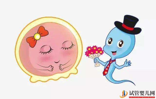 三代試管進(jìn)入周期后詳細(xì)步驟是什么？(圖1)