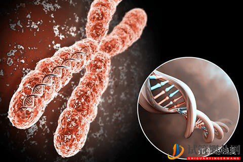 FSAC美國試管嬰兒影響成功率的因素(圖2)