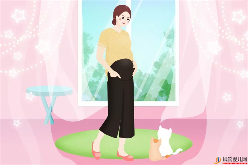 上海市第六人民醫(yī)院戴雪醫(yī)生:試管嬰兒助孕前的注意事項(xiàng)(試管嬰兒費(fèi)用大概要多少錢)(圖2) 試管嬰兒助孕前的注意事項(xiàng)(圖1)