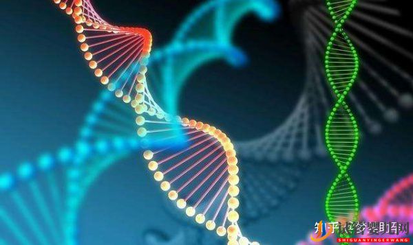 去美國做第三代試管嬰兒的價格高嗎(圖5)