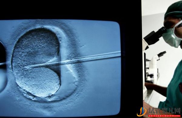 細數(shù)影響美國試管嬰兒成功率因素“知己知彼”(圖3)