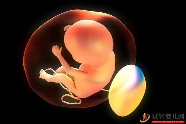 細數(shù)影響美國試管嬰兒成功率因素“知己知彼”(圖5)