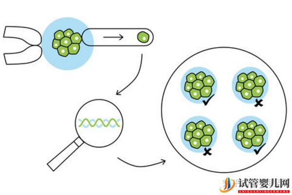 美國試管嬰兒專家如何避免胎停育的發生(圖2)