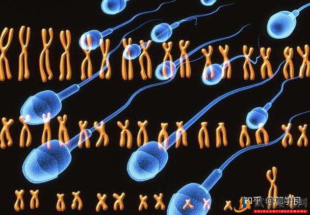 美國試管嬰兒專家疫情后,凍卵凍精需要被重視起來(圖2)