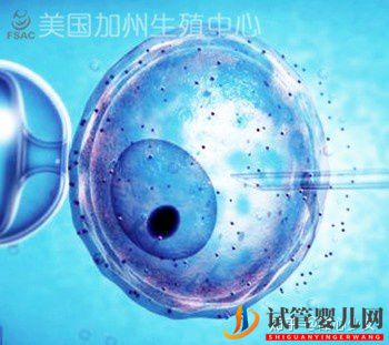 美國試管嬰兒指南如何科學提高成功率(圖1)