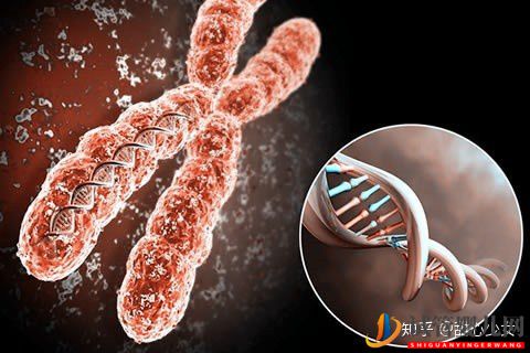 美國試管嬰兒指南如何科學提高成功率(圖2)