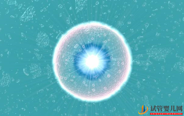 基礎(chǔ)卵泡數(shù)量多，為何取卵卻少？(圖1)