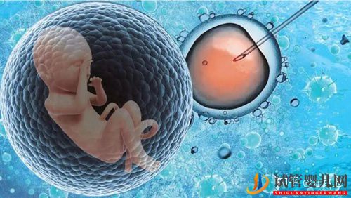 美國(guó)試管嬰兒移植雙胎的費(fèi)用？成功率如何？(圖1)