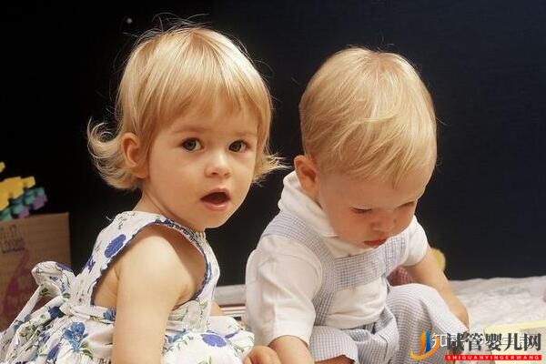 美國試管嬰兒資訊生同卵雙胞胎的概率分析(圖4)