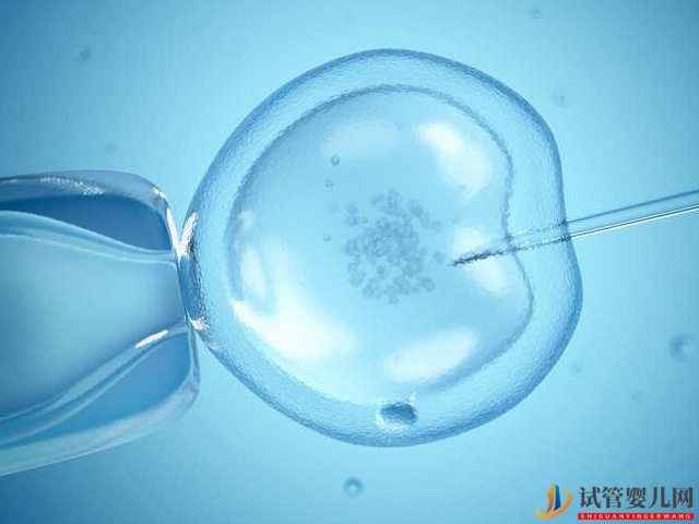 日本第三代試管嬰兒費用是多少？(圖1)