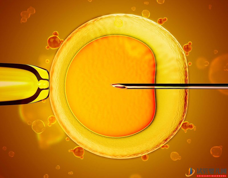 日本第三代試管嬰兒PGD技術(shù)申請流程(圖2)