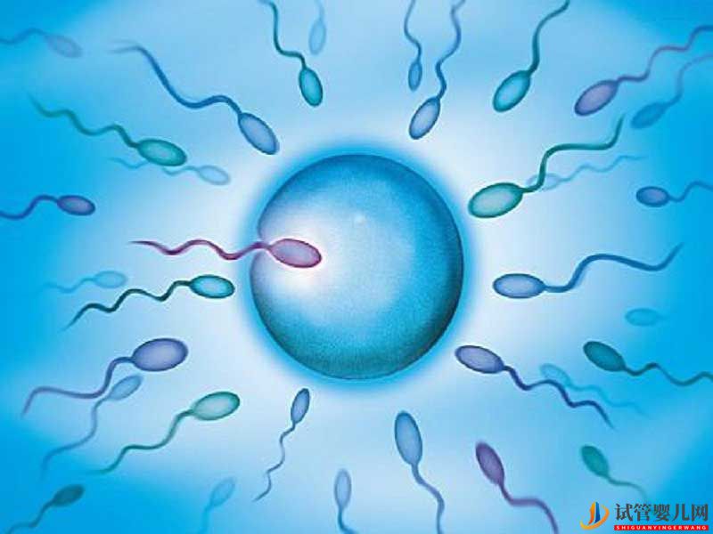 日本做試管嬰兒無(wú)須結(jié)婚證，單身女性看過(guò)來(lái)(圖1)