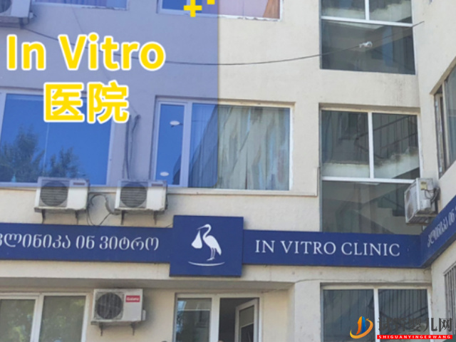 格魯吉亞invitro醫院有沒有推薦的生殖醫生？(圖3)