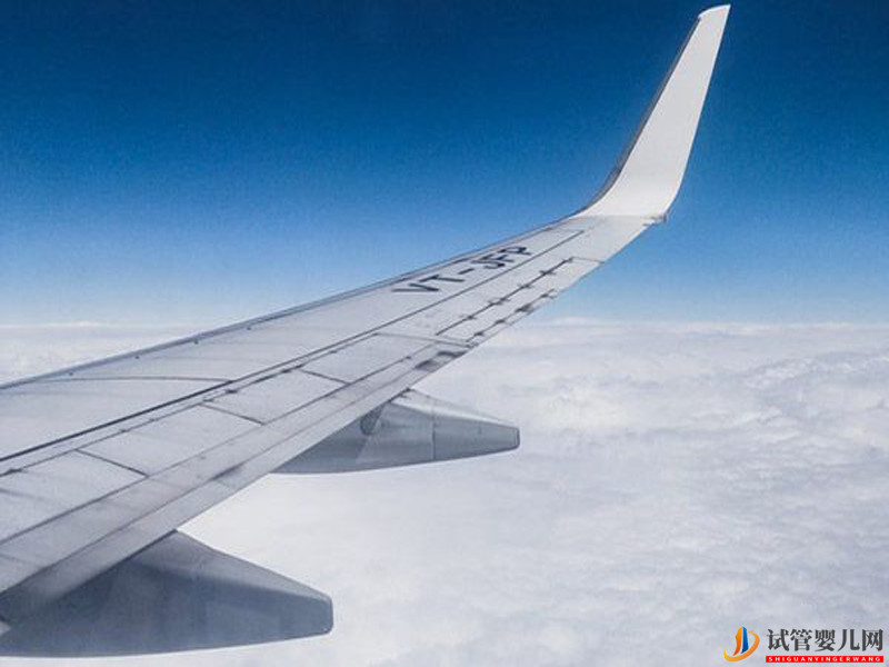 格魯吉亞第三方生殖輔助的相關(guān)流程匯合一覽(圖1) 格魯吉亞第三方生殖輔助的相關(guān)流程匯合一覽(圖1)