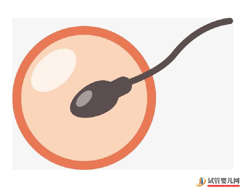 柬埔寨做試管嬰兒流程第一步需要準備什么？(圖2)