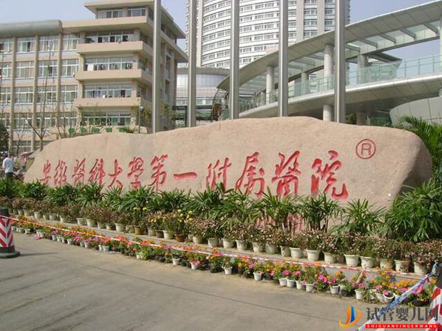 合肥試管醫院中哪家試管成功率最高？(圖1)