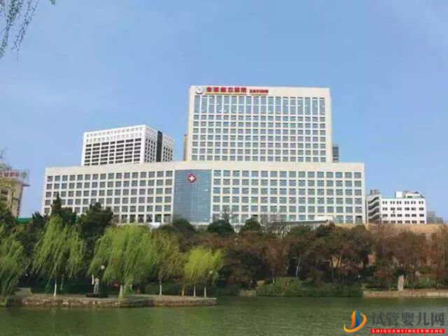 合肥試管醫院中哪家試管成功率最高？(圖2)