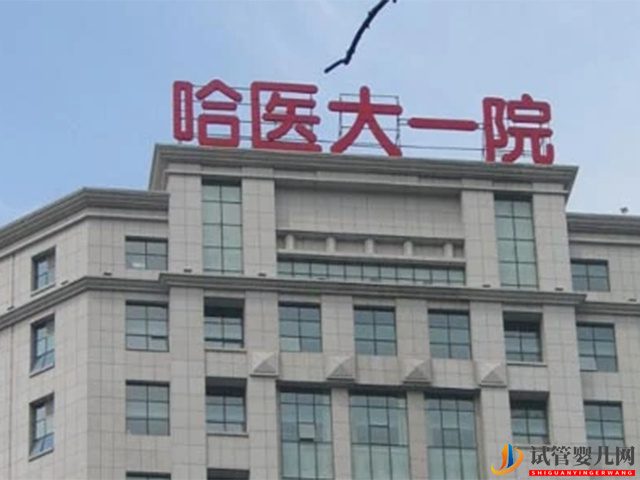 哈爾濱醫大一院試管成功率有多少？(圖1)