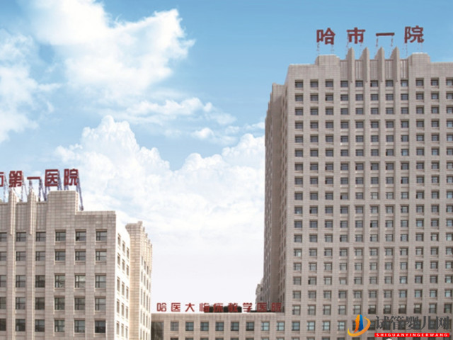 哈市第一醫(yī)院試管嬰兒成功經(jīng)驗(yàn)(圖1) 哈市第一醫(yī)院試管嬰兒成功經(jīng)驗(yàn)(圖1)