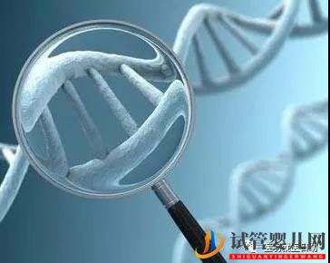 試管嬰兒讓遺傳疾病不再那么可怕!(圖1)