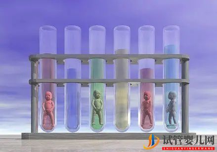 拉拉T卵P懷費用大概要多少_來看看各國的價格表吧(圖1)