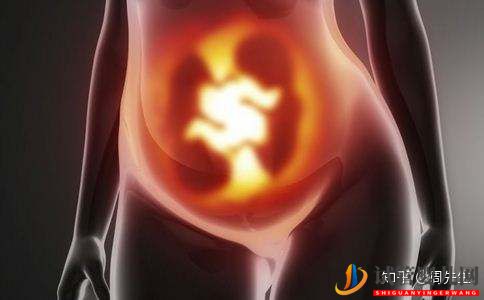 同性戀怎么做試管嬰兒(圖1)