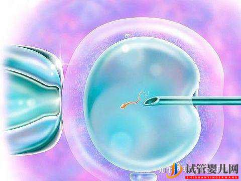 全方位試管嬰兒流程詳細介紹(試管嬰兒費用大概要多少錢)(圖2) 全方位試管嬰兒流程詳細介紹(圖2)