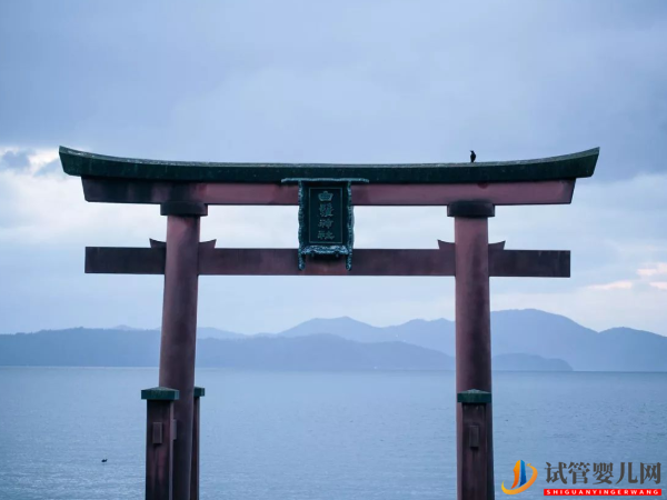 日本英醫院做試管的詳情收費，明細都在這兒！(圖2)