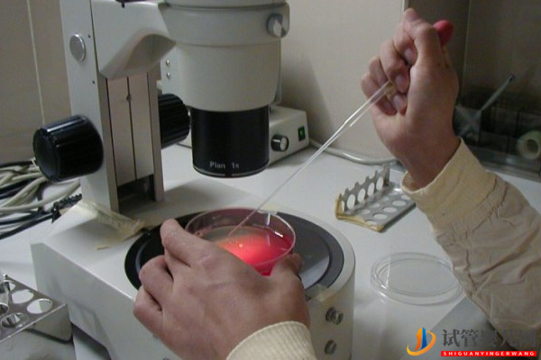 日本杉山醫院試管嬰兒成功率怎么樣？(圖2)