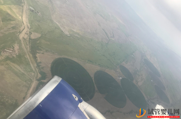 格魯吉亞試管親身經(jīng)歷(圖4) 格魯吉亞試管親身經(jīng)歷(圖4)