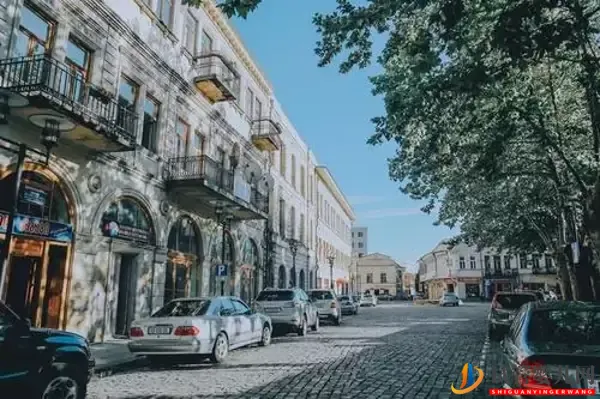 5點決定格魯吉亞試管嬰兒多少錢(圖5)