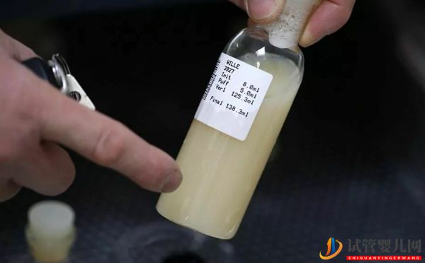 日本精子庫如何取精？(圖1)