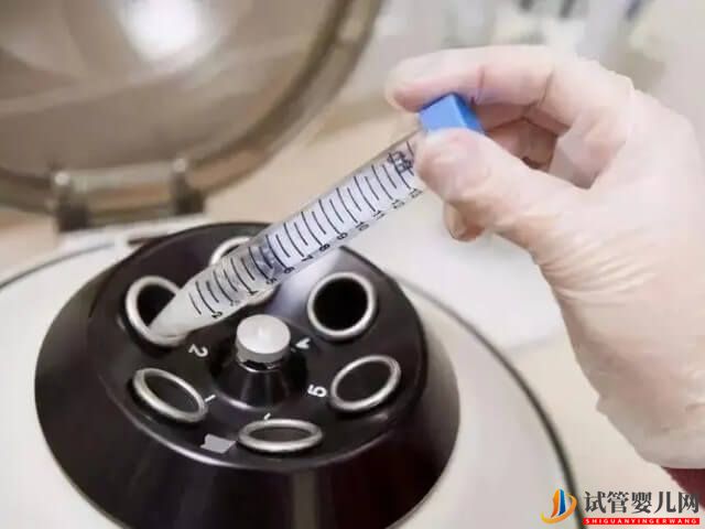 滄州有沒有開展供卵三代試管嬰兒技術？(圖1)