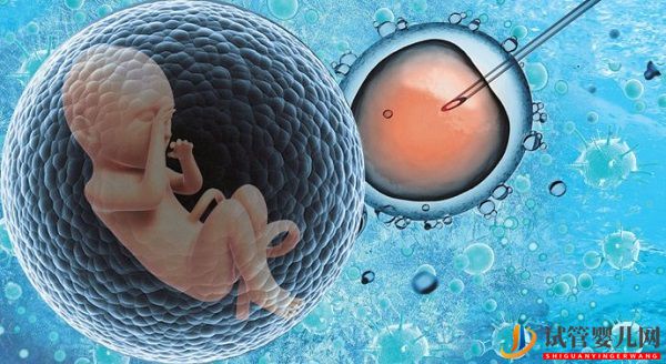 卵巢早衰做試管成功率高嗎？(圖1)