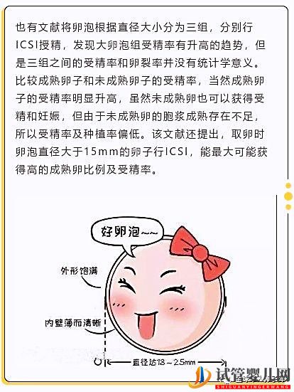 卵泡大小和試管成功率有關(guān)系嗎？大卵泡是不是越多越好？(圖2)