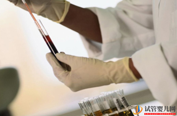 地中海貧血不影響試管成功率(圖2)