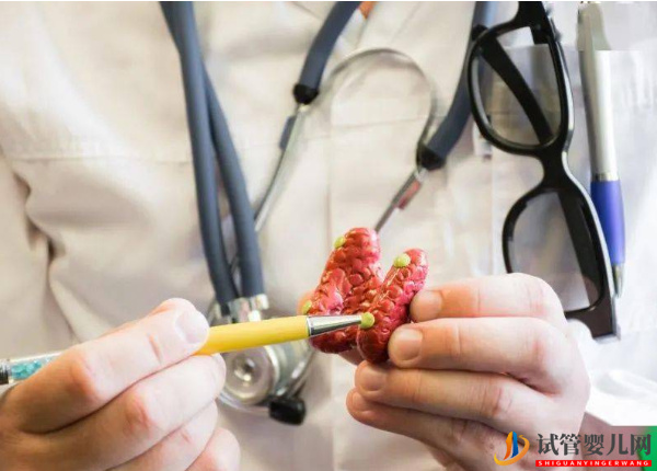 甲功異常對試管成功率的影響不可忽視(圖1)