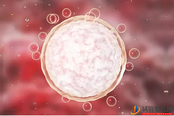 AMH0.04試管懷孕幾率只有這么多，調理卵泡發育或許有希望(圖2)