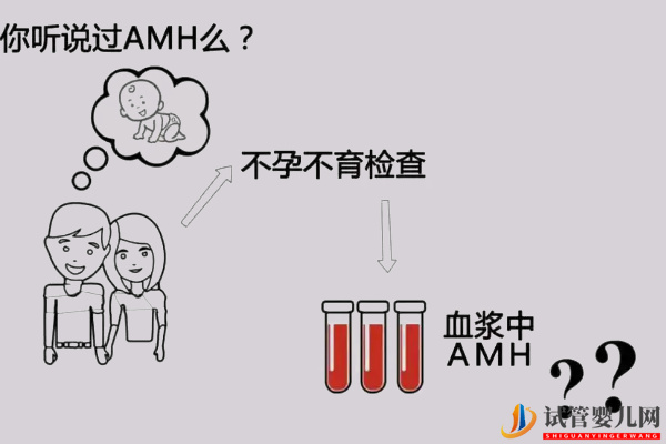 amh0.11想懷孕要看有多少卵泡(圖2) amh0.11想懷孕要看有多少卵泡(圖2)