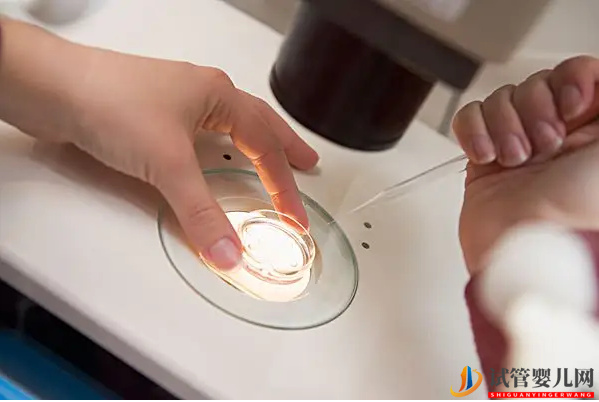 蕁麻疹最好不要直接做試管，對胚胎著床有這些影響(圖2)