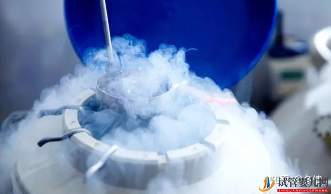 凍胚進(jìn)周期全流程子宮內(nèi)膜厚度多少正常(圖3) 凍胚進(jìn)周期全流程?(圖2)