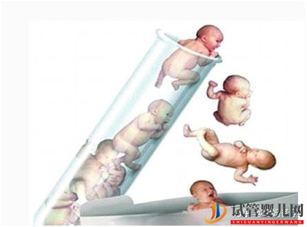 符合這三個條件中的其中一個,就可以做試管嬰兒了(圖1)