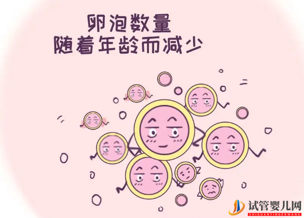 AMH值0.21絕經(jīng)前做試管還有生娃機(jī)會(huì)(圖2)