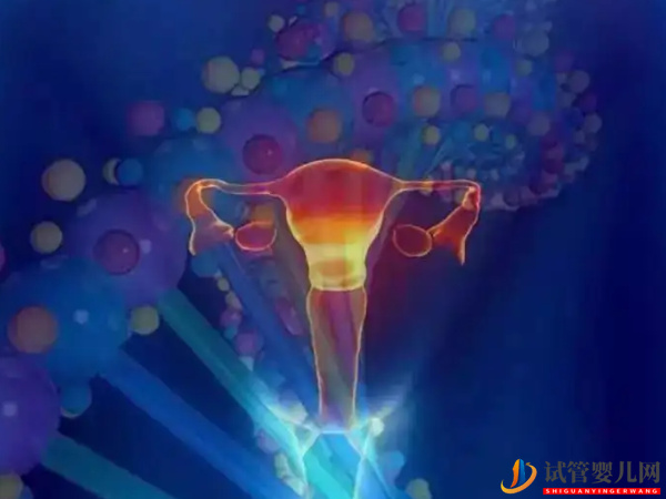 amh值0.32想回升可能性不大(圖1)