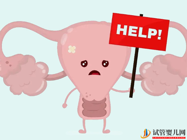 amh值0.32想回升可能性不大(圖2)