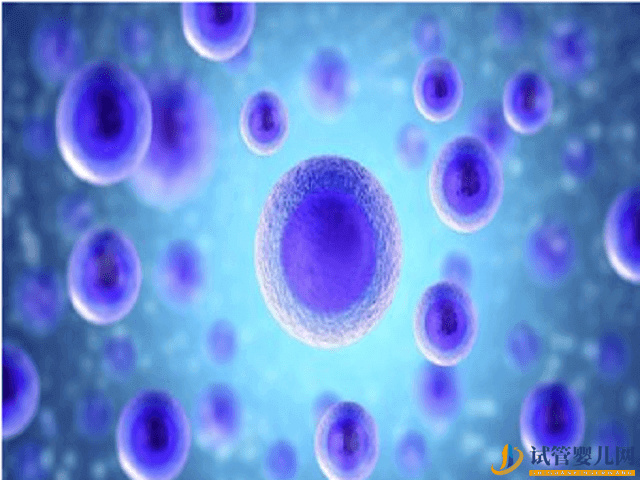 貴陽供精人工授精的流程是怎么樣的？費用是多少？(圖2)