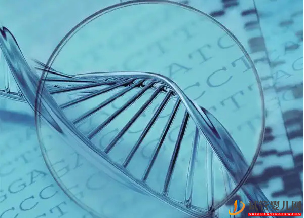 做試管必須重視基因檢測(圖2)